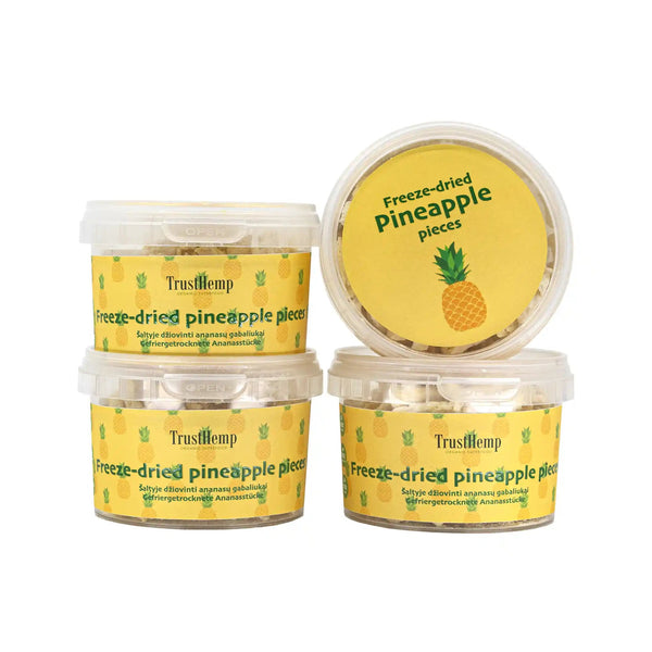 Ein Satz gefriergetrockneter Ananas